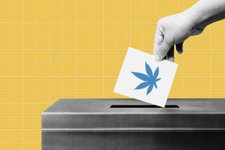 These States Could Legalize Marijuana This November | High Green News